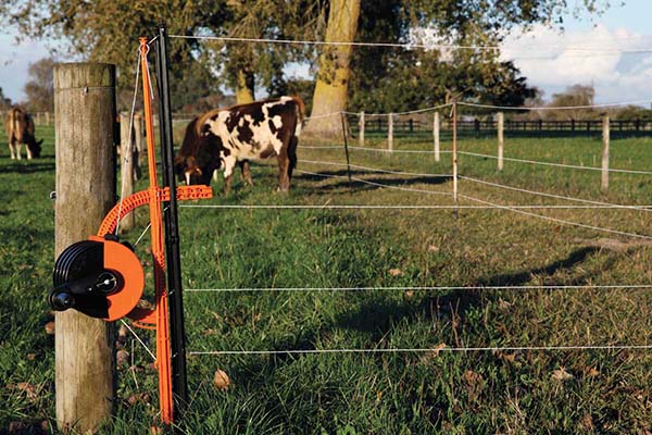 portable electric fence indonesia