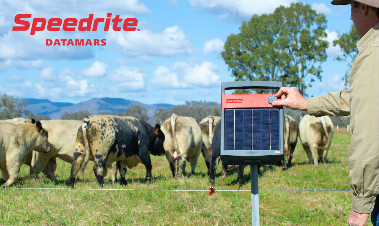 Artikel 01 Pagar Listrik Sapi